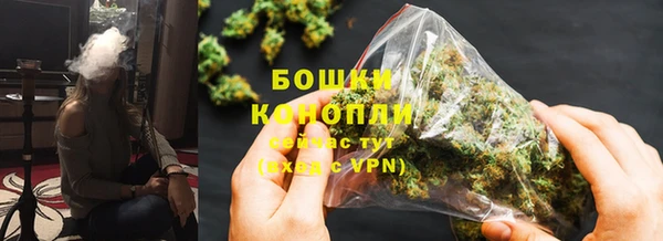шишки Нязепетровск