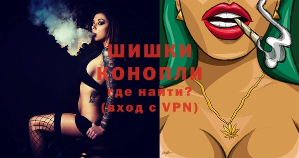 шишки Нязепетровск