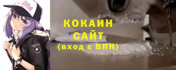 шишки Нязепетровск