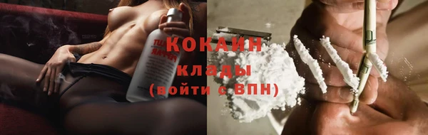 крисы Няндома