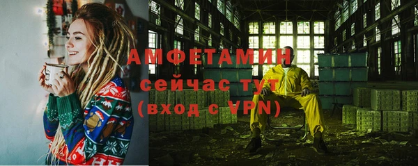 крисы Няндома