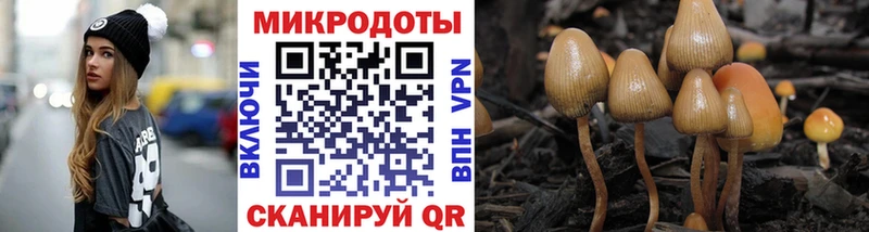 наркошоп  Бодайбо  Псилоцибиновые грибы мицелий 